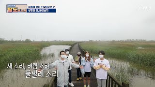 화성습지 중심에서 평화를 외치다 ◆화성 습지 투어◆ TV CHOSUN 20210529 방송  | [현.지.인의 팔도보고서] 4회 | TV조선