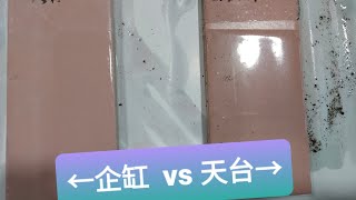 同樣油了PAS Coatings防水油，分別放天台與企缸，3個月後會點呢？