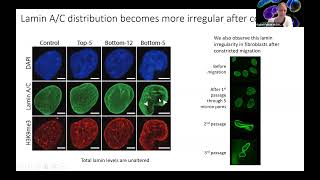 Alterations in Spatial Genome Compartmentalization Associated with Constriction and Expansion