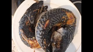 #youtubeshorts#shorts#shortsfire#mackerel/HOW TO DRY FISH/DRYING FISH/HOW TO DRY FISH WITH OVEN