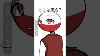 🇵🇱は卍から逃げてたらしいよ#countryhumans #カントリーヒューマンズ #カンヒュ #イラスト