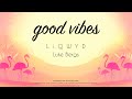 LiQWYD & Luke Bergs - Good Vibes