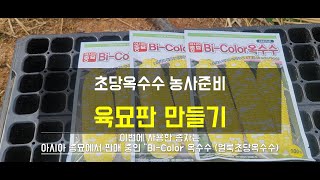 [농꾼기록] 초당옥수수 모종 만들기 전과정∣ 트레이 상토넣기∣종자 넣기∣물주기∣종자눌러주기∣흙덮어주기