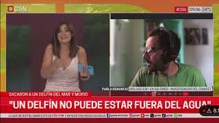 MURIÓ UN DELFÍN EN MAR DEL TUYÚ | Sábado 25/01 | C5N