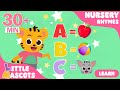 ABC Song + Number Song + more Little Mascots Nursery Rhymes & Kids Songs