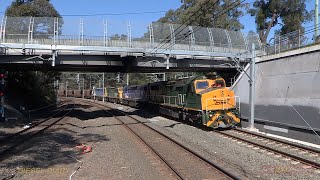 Australian diesel locomotives C505, C506, C507 & C510  - heavy coal drags - Beecroft - late 2016