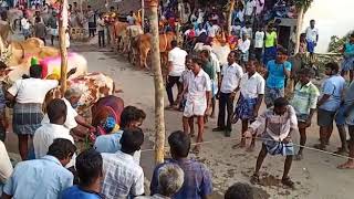 Adamangalam PUDUR Jallikattu