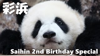 Saihin 2nd Birthday Special🌈 彩浜の成長記録の再放送🐼 20:45~23:00