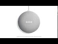 Google Home Mini | Morning