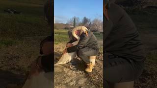 This Man Rescued a Swan 😍