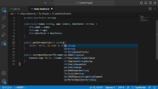2.3 Discover TypeScript classes and interfaces