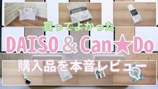 【100均・ダイソー・キャンドゥ購入品】２つのお店に行って新商品で気になったものを買ってきました