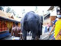 thechikottukavu pooram 2021 thechikottukavu ramachandran devidasan chirakkal sabarinath