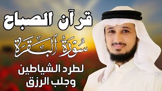 قرآن الصباح | سورة البقرة لحفظ وتحصين المنزل | بصوت الشيخ فارس عباد  - جودة عالية