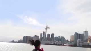 Meteor hits CN Tower, Toronto