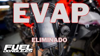 REMOVE the EVAP system from your MOTORCYCLE.