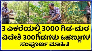 Beautiful Taranga Farms & Nursery || ಹೆಚ್ಚು ಬಗೆಯ ವಿದೇಶಿ ಹಣ್ಣುಗಳು || ಶ್ರೀನಿವಾಸ್  7 ವರ್ಷದ ಸಾಧನೆ