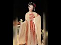 Embroidered Large Sleeve Printed Dress | Tang Dynasty Inspired Hanfu