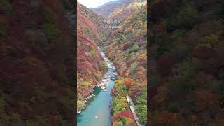 抱返り渓谷の紅葉🍁秋田県仙北市 2022.10.30 ドローン空撮