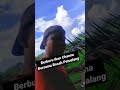 Berburu Ikan Channa Bersama Bocah Petualang diPinggir Sawah || Part 3