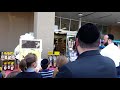 live rockland honey bees at evergreen kosher supermarket for rosh hashanna.