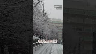 毎日大雪#shorts（大雪警報雪道ドライブ）