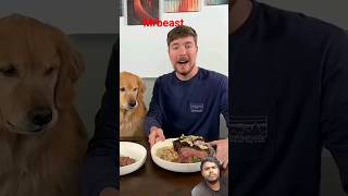 $1 vs $10,000 @ MrBeast |#shortsfeed #shorts#yt #foodanimal #dogfood #youtubevodeo