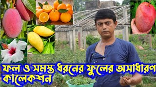 শান্তিপুরের এই নার্সারিতে পাবেন ফল ও সমস্ত ধরনের ফুলের অসাধারণ কালেকশন।