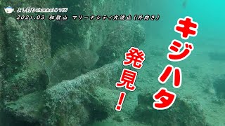 【167】和歌山マリーナシティ大波止 外向き／水中カメラで釣り場の海中撮影