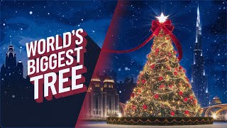 Top 10 Tallest Christmas Trees Around the World!