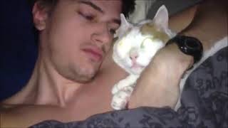 Guy Fucks Cat Xxx Videos