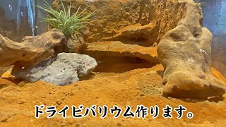 ダイソー透明収納ケースで爬虫類を飼育するドライビバリウムを作る【砂漠リウム】