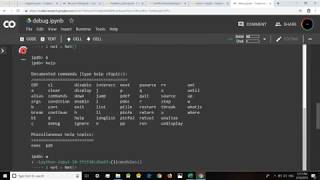 automatic debugging in google colab