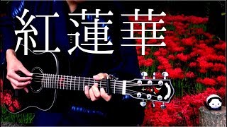 【TAB】鬼滅の刃 OP 「紅蓮華」アコギで弾いてみた \