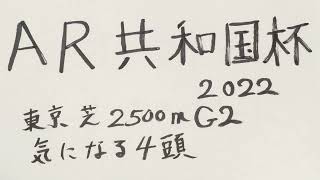 アルゼンチン共和国杯2022 GII 気になる4頭