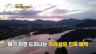 [오감여행 발걸음) 경기 가평] 낭만이 흐르는 '자라섬'