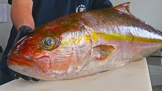 Taiwanese Giant Yellowtail Fish Cutting Skills, Sashimi,Braised Fish Head /巨大紅甘魚上岸！ 紅鰤魚切割技巧,生魚片,紅燒魚頭