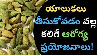 యాలుకలు తీసుకోవడం వల్ల కలిగే ఆరోగ్య  ప్రయోజనాలు | Tips for Health in Telugu