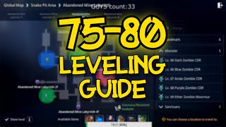 MIR4 LEVELING GUIDE FROM 75 to 80