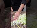 amazing white leek cutting skills cuttingtricks