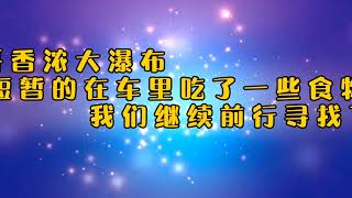 我们的里贾纳-卡尔加里-温哥华一路向西之旅，第八天，今天是一路经典的大温风光，从山上俯瞰温哥华港湾，仰望香浓大瀑布，误创原住民的伐木工厂，漂亮的马蹄湾，在海平面领略大温的独特风景线。