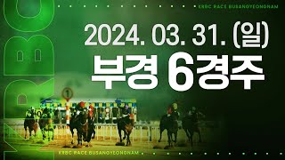 (부산) 2024.03.31 6경주