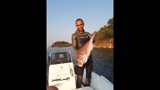 Spearfishing Corfu, Dentex Gibbosus