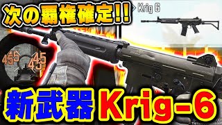 新武器『Krig-6』がピースキーパー越え間違いなし！もはやAK117の上位互換で来シーズンの最強となるか...【CODモバイル】〈KAME〉