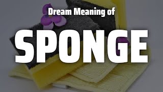 Sponge Dream Meaning \u0026 Symbolism