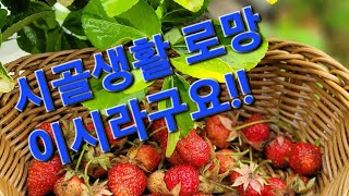 이사/원주/치악산/자락/자급자족/삶/행복/감사합니다.