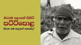 How Did Pattipola in Central Province Get It's Name? New Social Experiment in Sri Lanka