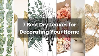 Dry leaves for decoration: 7 Best Dry Leaves for Decorating Your Home