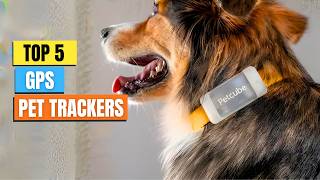 The 5 BEST GPS Pet Trackers That Actually Work – Find Lost Pets in Seconds