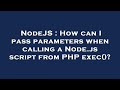 NodeJS : How can I pass parameters when calling a Node.js script from PHP exec()?